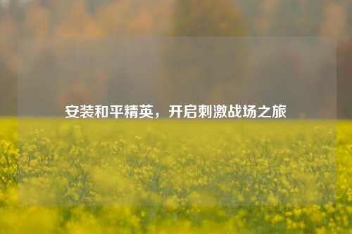 安装和平精英，开启刺激战场之旅