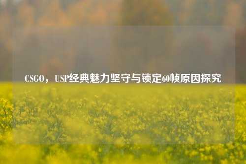 CSGO，USP经典魅力坚守与锁定60帧原因探究