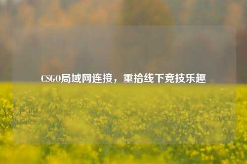 CSGO局域网连接，重拾线下竞技乐趣