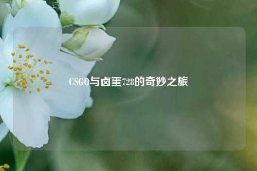 CSGO与卤蛋728的奇妙之旅