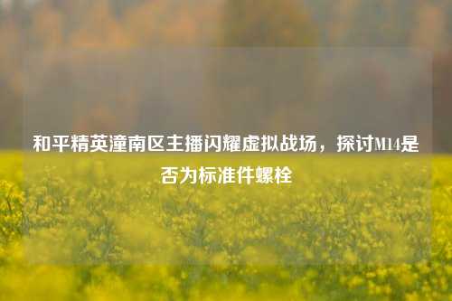 和平精英潼南区主播闪耀虚拟战场，探讨M14是否为标准件螺栓