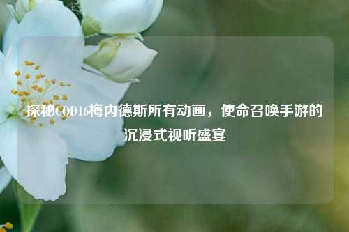 探秘COD16梅内德斯所有动画,使命召唤手游的沉浸式视听盛宴