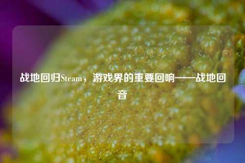 战地回归Steam，游戏界的重要回响——战地回音