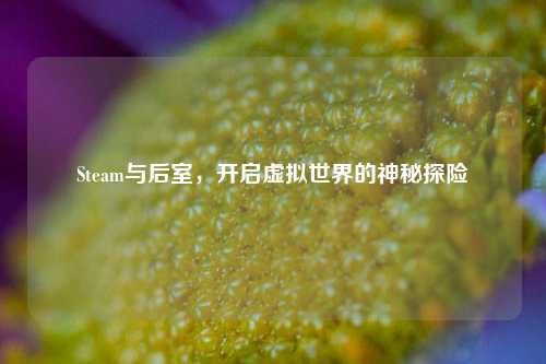 Steam与后室，开启虚拟世界的神秘探险