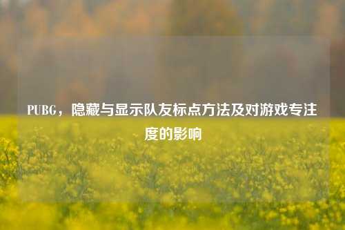 PUBG，隐藏与显示队友标点方法及对游戏专注度的影响