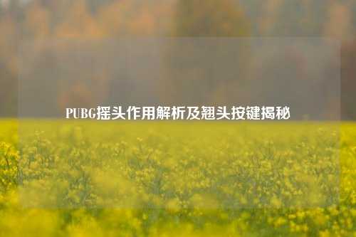 PUBG摇头作用解析及翘头按键揭秘