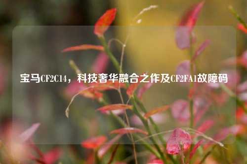 宝马CF2C14，科技奢华融合之作及CF2FA1故障码