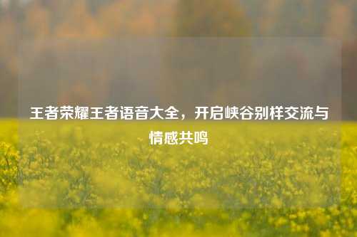 王者荣耀王者语音大全，开启峡谷别样交流与情感共鸣
