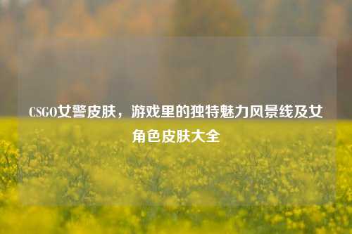 CSGO女警皮肤,游戏里的独特魅力风景线及女角色皮肤大全