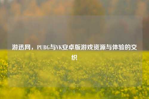 游迅网,PUBG与VK安卓版游戏资源与体验的交织