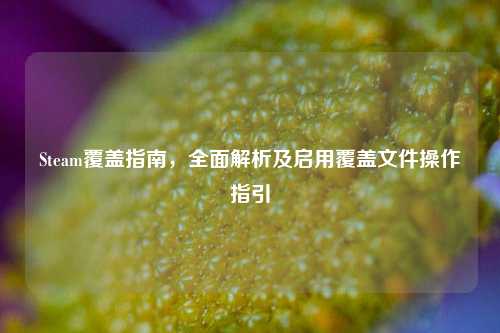 Steam覆盖指南，全面解析及启用覆盖文件操作指引