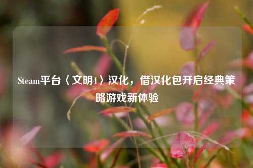 Steam平台〈文明4〉汉化,借汉化包开启经典策略游戏新体验