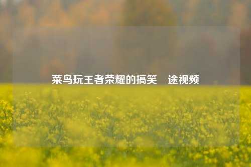菜鸟玩王者荣耀的搞笑囧途视频