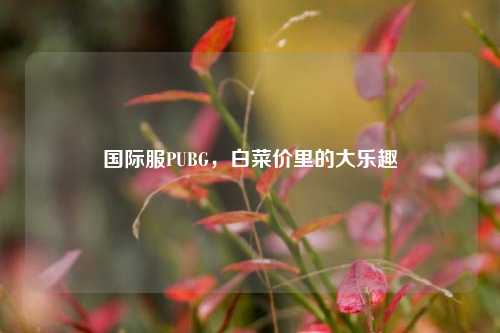 国际服PUBG,白菜价里的大乐趣
