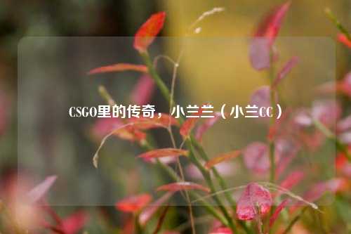CSGO里的传奇,小兰兰(小兰CC)