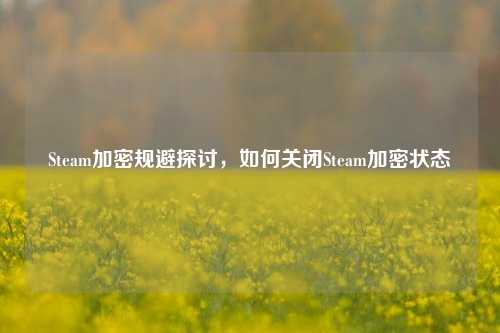 Steam加密规避探讨,如何关闭Steam加密状态