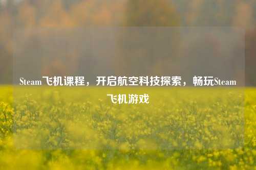 Steam飞机课程,开启航空科技探索,畅玩Steam飞机游戏
