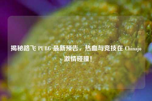 揭秘路飞 PUBG 最新预告,热血与竞技在 Chinajoy 激情碰撞!