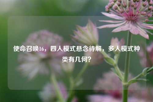 使命召唤16,四人模式悬念待解,多人模式种类有几何?