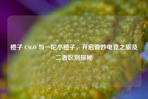 橙子 CSGO 与一坨小橙子，开启奇妙电竞之旅及二者区别探秘