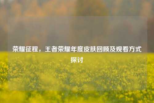 荣耀征程,王者荣耀年度皮肤回顾及观看方式探讨