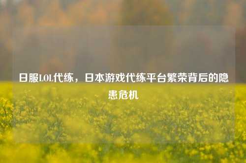 日服LOL代练，日本游戏代练平台繁荣背后的隐患危机