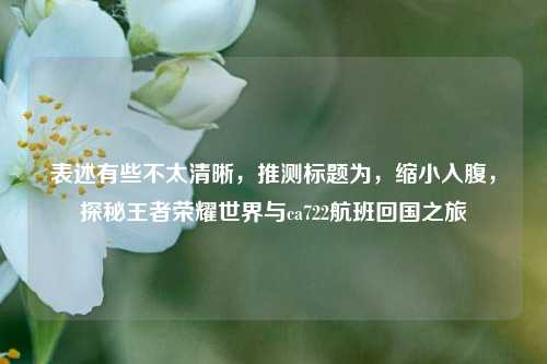 表述有些不太清晰，推测标题为，缩小入腹，探秘王者荣耀世界与ca722航班回国之旅