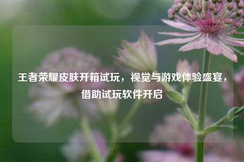 王者荣耀皮肤开箱试玩，视觉与游戏体验盛宴，借助试玩软件开启