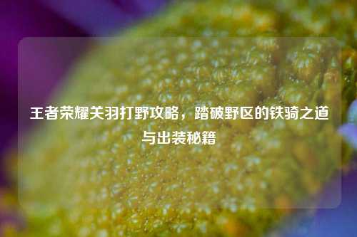 王者荣耀关羽打野攻略，踏破野区的铁骑之道与出装秘籍