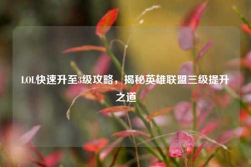 LOL快速升至3级攻略,揭秘英雄联盟三级提升之道