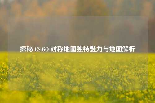 探秘 CS:GO 对称地图独特魅力与地图解析
