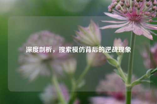深度剖析，搜索模仿背后的逆战现象