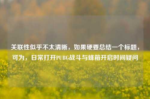 关联性似乎不太清晰,如果硬要总结一个标题,可为,日常打开PUBG战斗与蜂箱开启时间疑问