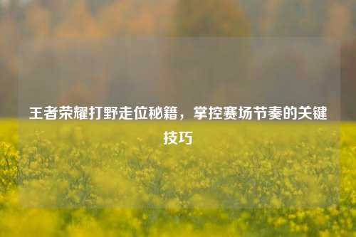 王者荣耀打野走位秘籍,掌控赛场节奏的关键技巧