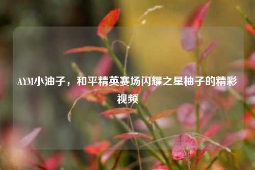 AYM小油子，和平精英赛场闪耀之星柚子的精彩视频