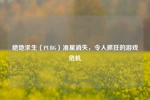 绝地求生(PUBG)准星消失,令人抓狂的游戏危机