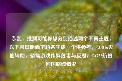 杂乱,推测可能你想分别描述两个不同主题,以下尝试明确主题各生成一个供参考,COD16灭仙辅助,聚焦游戏作弊危害与反思,CA722航班回国路线情况