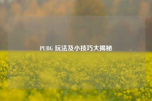 PUBG 玩法及小技巧大揭秘