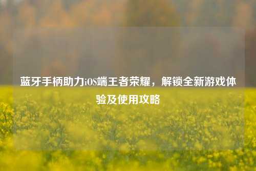蓝牙手柄助力iOS端王者荣耀，解锁全新游戏体验及使用攻略