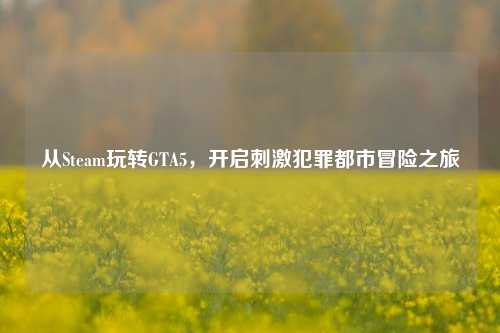 从Steam玩转GTA5，开启刺激犯罪都市冒险之旅