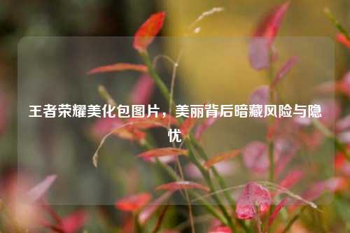 王者荣耀美化包图片，美丽背后暗藏风险与隐忧