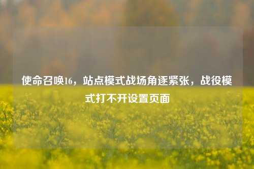 使命召唤16,站点模式战场角逐紧张,战役模式打不开设置页面
