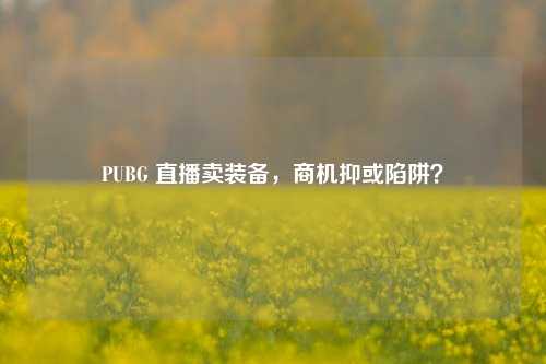PUBG 直播卖装备,商机抑或陷阱?