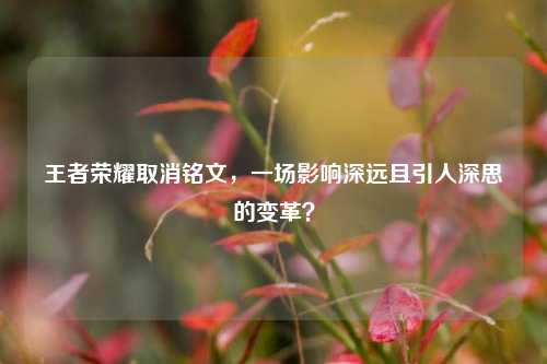 王者荣耀取消铭文,一场影响深远且引人深思的变革?