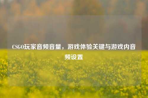 CSGO玩家音频音量，游戏体验关键与游戏内音频设置