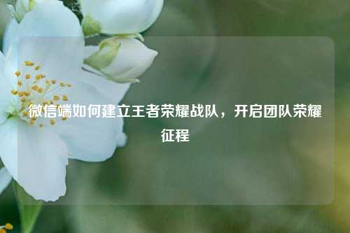 微信端如何建立王者荣耀战队，开启团队荣耀征程