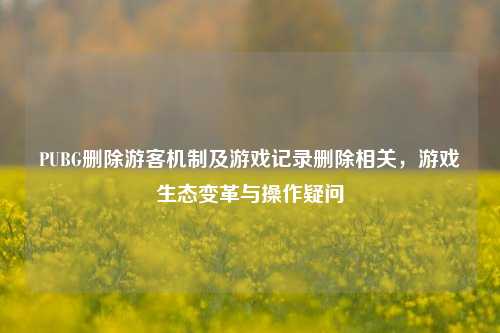 PUBG删除游客机制及游戏记录删除相关，游戏生态变革与操作疑问