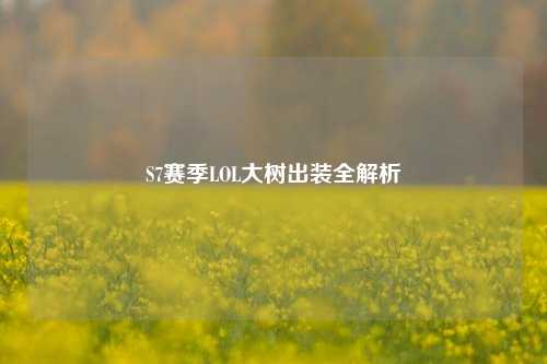 S7赛季LOL大树出装全解析