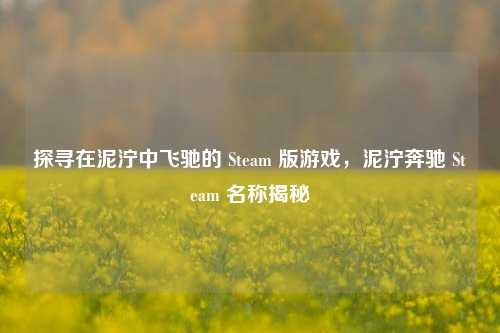 探寻在泥泞中飞驰的 Steam 版游戏，泥泞奔驰 Steam 名称揭秘