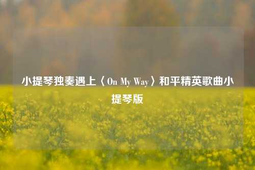 小提琴独奏遇上〈On My Way〉和平精英歌曲小提琴版